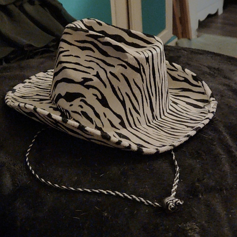 Zebra Hat